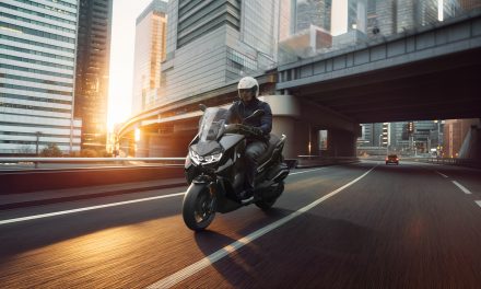 BMW C 400 GT ve C 400 X  Türkiye’de Yollara Çıktı