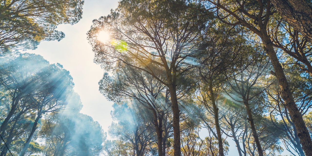 Tatilde yangın riskine karşı nasıl davranmalıyız?