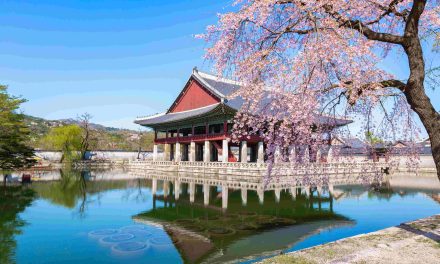 Uzak Doğu’nun Yükselen Yıldızları: Japonya ve Güney Kore