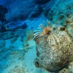 DÜNYANIN EN ESKİ BATIĞI KEKOVA’DA BULUNDU